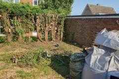 Large piles of conifer cuttings and builder bags filled with garden waste